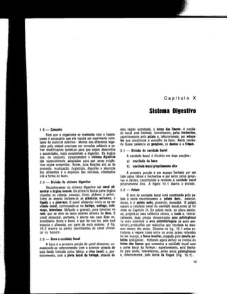 Anatomia_Humana_Basica_2ed_-_D.pdf