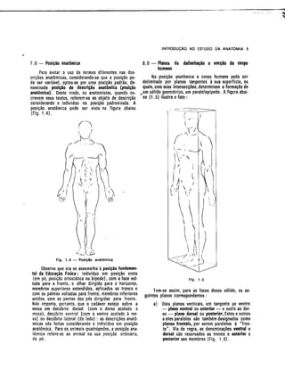 Anatomia_Humana_Basica_2ed_-_D.pdf