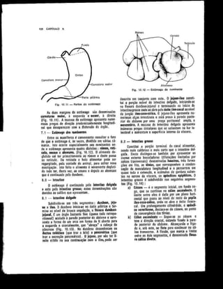 Anatomia_Humana_Basica_2ed_-_D.pdf