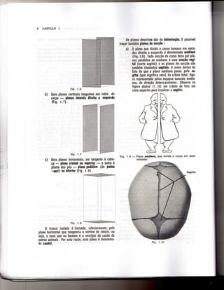 Anatomia_Humana_Basica_2ed_-_D.pdf