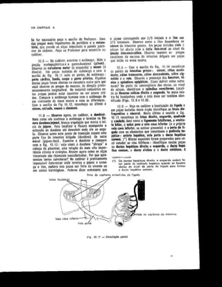 Anatomia_Humana_Basica_2ed_-_D.pdf