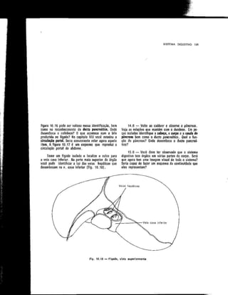 Anatomia_Humana_Basica_2ed_-_D.pdf