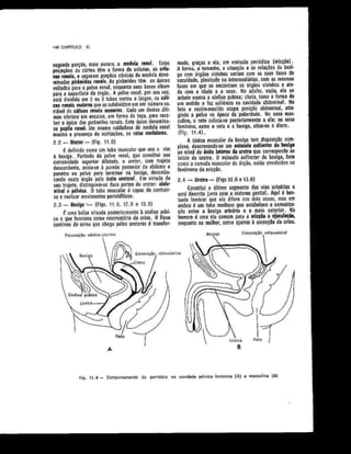 Anatomia_Humana_Basica_2ed_-_D.pdf