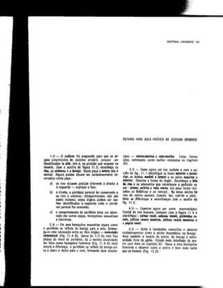 Anatomia_Humana_Basica_2ed_-_D.pdf