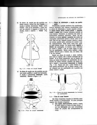 Anatomia_Humana_Basica_2ed_-_D.pdf