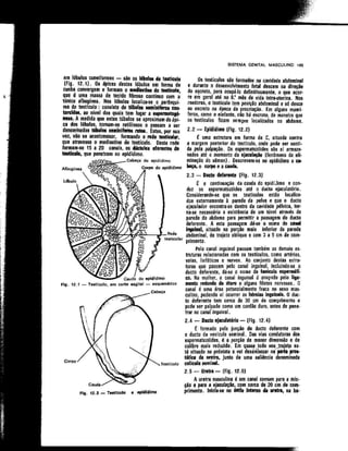 Anatomia_Humana_Basica_2ed_-_D.pdf