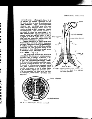 Anatomia_Humana_Basica_2ed_-_D.pdf