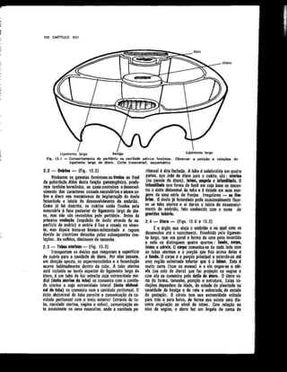 Anatomia_Humana_Basica_2ed_-_D.pdf
