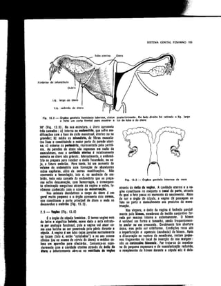 Anatomia_Humana_Basica_2ed_-_D.pdf