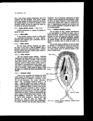 Anatomia_Humana_Basica_2ed_-_D.pdf
