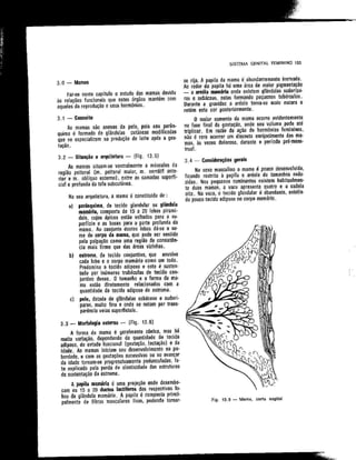 Anatomia_Humana_Basica_2ed_-_D.pdf