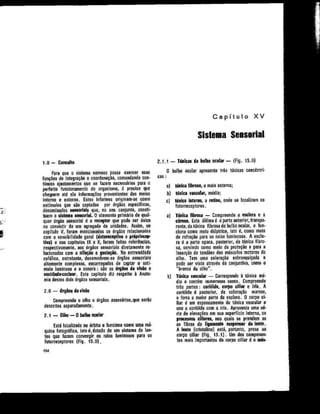 Anatomia_Humana_Basica_2ed_-_D.pdf