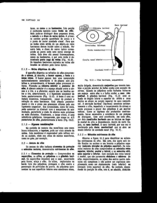Anatomia_Humana_Basica_2ed_-_D.pdf