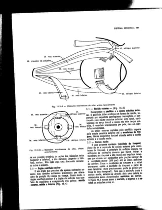 Anatomia_Humana_Basica_2ed_-_D.pdf