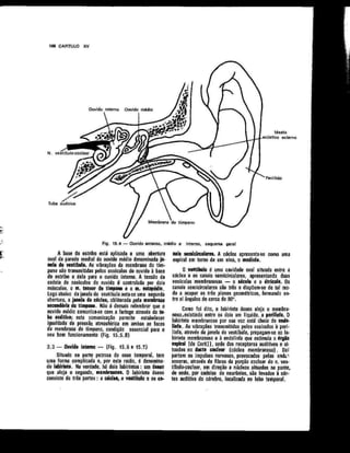 Anatomia_Humana_Basica_2ed_-_D.pdf