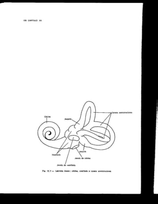 Anatomia_Humana_Basica_2ed_-_D.pdf