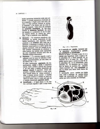 Anatomia_Humana_Basica_2ed_-_D.pdf