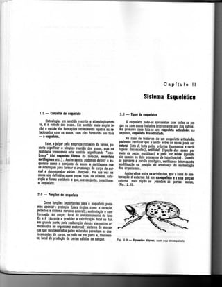 Anatomia_Humana_Basica_2ed_-_D.pdf