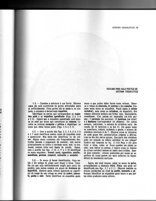 Anatomia_Humana_Basica_2ed_-_D.pdf