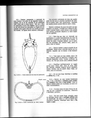 Anatomia_Humana_Basica_2ed_-_D.pdf