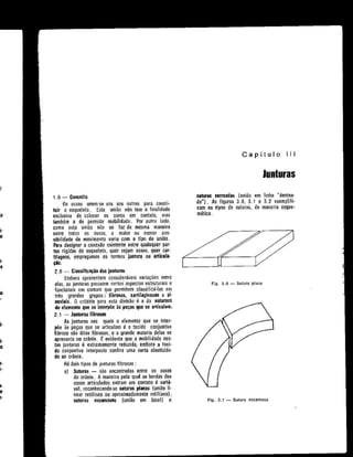 Anatomia_Humana_Basica_2ed_-_D.pdf