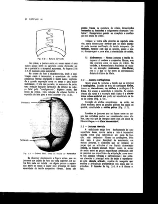Anatomia_Humana_Basica_2ed_-_D.pdf