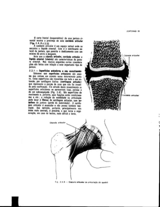 Anatomia_Humana_Basica_2ed_-_D.pdf