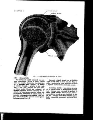Anatomia_Humana_Basica_2ed_-_D.pdf