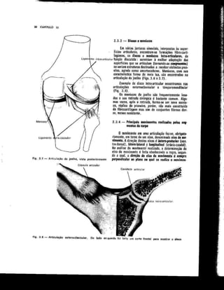 Anatomia_Humana_Basica_2ed_-_D.pdf