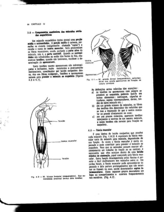 Anatomia_Humana_Basica_2ed_-_D.pdf