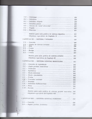 Anatomia_Humana_Basica_2ed_-_D.pdf
