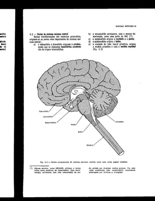 Anatomia_Humana_Basica_2ed_-_D.pdf