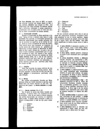 Anatomia_Humana_Basica_2ed_-_D.pdf