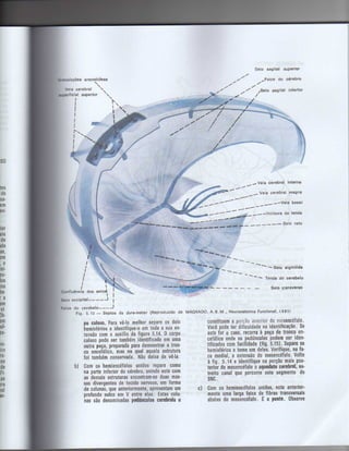 Anatomia_Humana_Basica_2ed_-_D.pdf