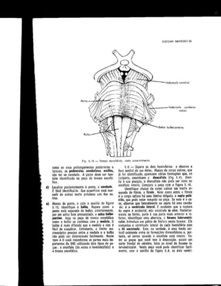 Anatomia_Humana_Basica_2ed_-_D.pdf
