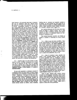 Anatomia_Humana_Basica_2ed_-_D.pdf