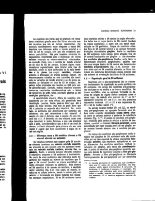 Anatomia_Humana_Basica_2ed_-_D.pdf