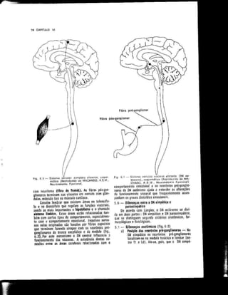 Anatomia_Humana_Basica_2ed_-_D.pdf