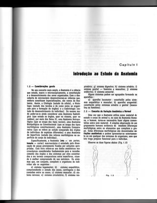 Anatomia_Humana_Basica_2ed_-_D.pdf