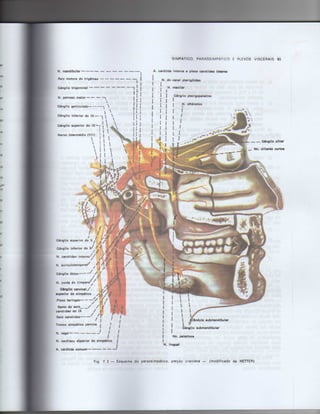 Anatomia_Humana_Basica_2ed_-_D.pdf