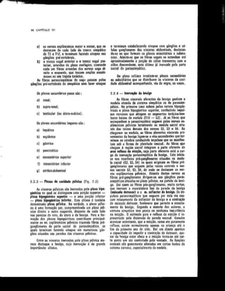 Anatomia_Humana_Basica_2ed_-_D.pdf