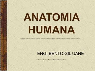 ANATOMIA
HUMANA
ENG. BENTO GIL UANE
 