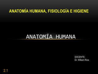 2.1
ANATOMÍA HUMANA, FISIOLOGÍA E HIGIENE
ANATOMÍA HUMANA
DOCENTE:
Dr. William Ríos
 