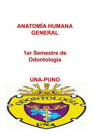 ANATOMÍA HUMANA GENERAL 1er Semestre de Odontología UNA-PUNO 