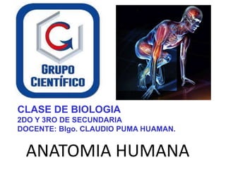 ANATOMIA HUMANA
CLASE DE BIOLOGIA
2DO Y 3RO DE SECUNDARIA
DOCENTE: Blgo. CLAUDIO PUMA HUAMAN.
 