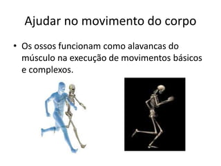Ajudar no movimento do corpo
• Os ossos funcionam como alavancas do
músculo na execução de movimentos básicos
e complexos.
 