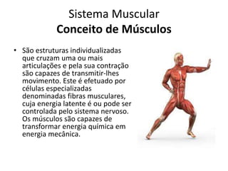Sistema Muscular
Conceito de Músculos
• São estruturas individualizadas
que cruzam uma ou mais
articulações e pela sua contração
são capazes de transmitir-lhes
movimento. Este é efetuado por
células especializadas
denominadas fibras musculares,
cuja energia latente é ou pode ser
controlada pelo sistema nervoso.
Os músculos são capazes de
transformar energia química em
energia mecânica.
 