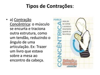 Tipos de Contrações:
• a) Contração
Concêntrica: o músculo
se encurta e traciona
outra estrutura, como
um tendão, reduzindo o
ângulo de uma
articulação. Ex: Trazer
um livro que estava
sobre a mesa ao
encontro da cabeça.
 