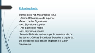 Colon izquierdo:
(ramas de la Art. Mesentérica INF.)
•Arteria Cólica izquierda superior
•Tronco de las Sigmoideas:
–Art. Sigmoidea superior
--Art. Sigmoidea media
–Art. Sigmoidea inferior
Arco de Rielando: se forma por la anastomosis de
las dos Art. Cólicas Superiores Derecha e izquierda.
De él depende casi toda la irrigación del Colon
Transverso.
 