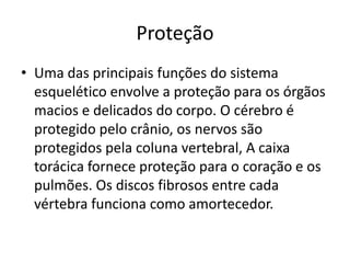 Proteção
• Uma das principais funções do sistema
  esquelético envolve a proteção para os órgãos
  macios e delicados do corpo. O cérebro é
  protegido pelo crânio, os nervos são
  protegidos pela coluna vertebral, A caixa
  torácica fornece proteção para o coração e os
  pulmões. Os discos fibrosos entre cada
  vértebra funciona como amortecedor.
 